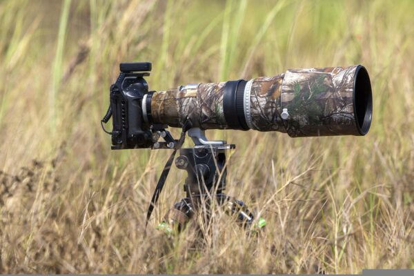 Kamera zur Vogelfotografie